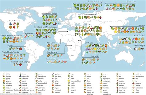 Interactive map shows where the world's food comes from | Daily Mail Online