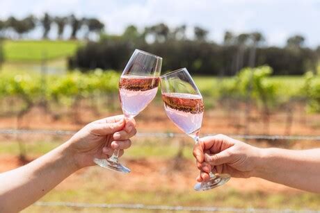 What's New: Pink Prosecco in AustraliaWhat's New: Pink Prosecco in Australia :: FoodProcessing