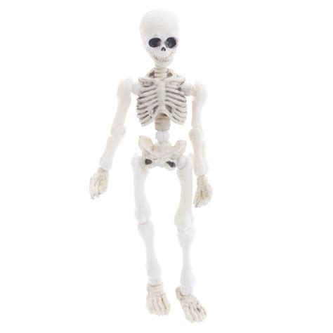 New 1Pc Movable Mr. Bones Skeleton Human Model Skull Full Body Mini Figure Toy Halloween -in ...