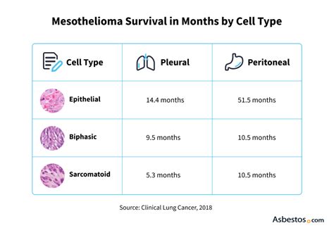 Mesothelioma Life Expectancy: Key Factors & Timelines