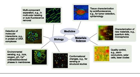 [PDF] Fluorescence Lifetime Imaging ( FLIM ) in Confocal Microscopy Applications : An Overview ...