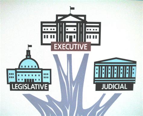 Branches of government - Foundations of America