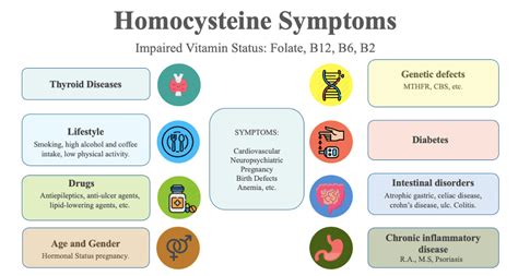 Homocysteine Extending your lifespan - Wellness By Rosh | Integrative Wellness