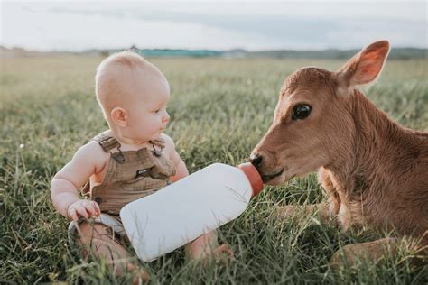 Baby Meets Calf for First Birthday Session | Farm baby, First birthday ...