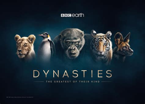 New landmark BBC Wildlife Documentary, Dynasties to launch 12 November