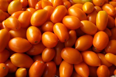 Tomato Varieties: Grow The Right Tomato For The Job! - Farmers' Almanac ...