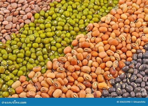 Whole pulse seeds stock photo. Image of green, husk, lobia - 35623390