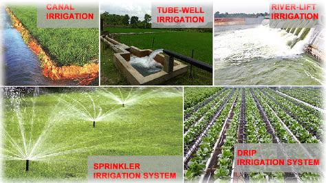 Briefly explain the various methods of irrigation - Tutorix