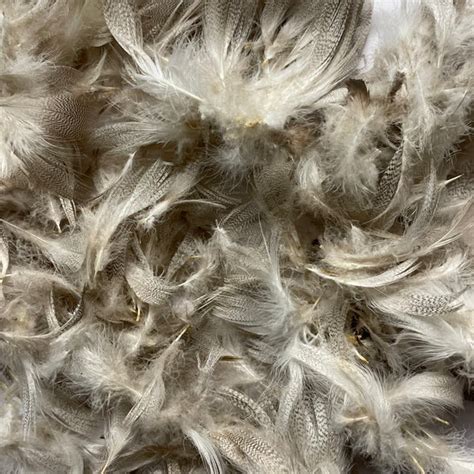 Natural Mottled Mallard Duck Feather Plumage Pack of 10 grams