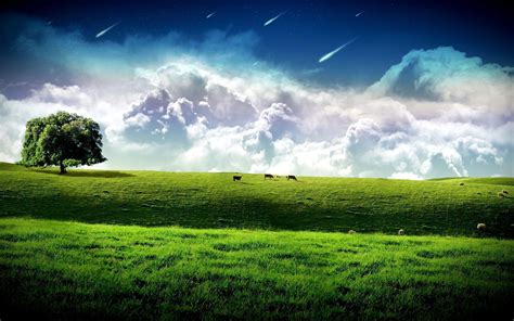 Amazing Backgrounds - WallpaperSafari