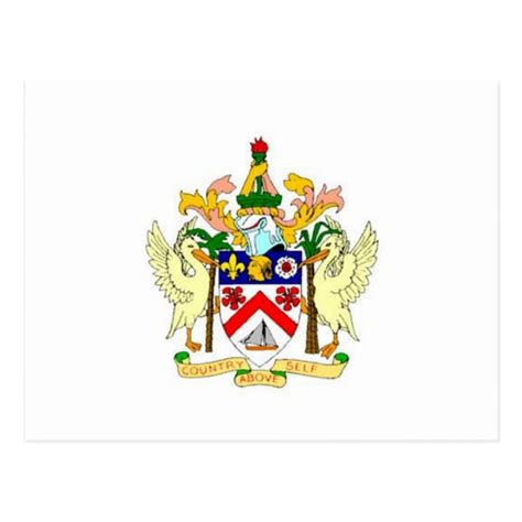 Saint_Kitts and Nevis Coat of Arms Postcard | Zazzle