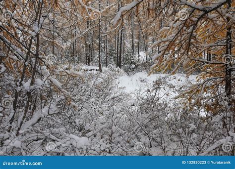 Altai mountains stock image. Image of peaks, scene, frost - 132830223