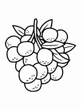 Bunch Of Longan Coloring Page  Free Printable Pages sketch template
