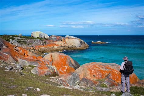 Bay of Fires Lodge Walk | Great Walks of Australia