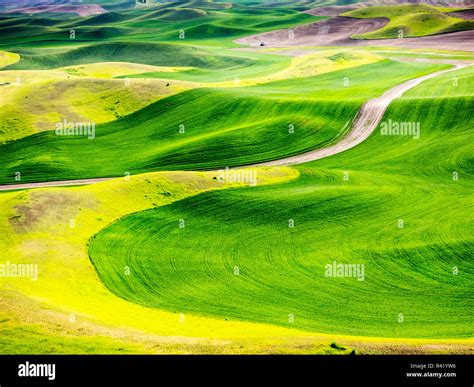 Aerial view of Palouse Region Stock Photo - Alamy