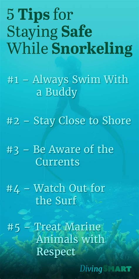 Tips for Staying Safe While Snorkeling | Diving Smart | Snorkeling, Tips, Safety tips