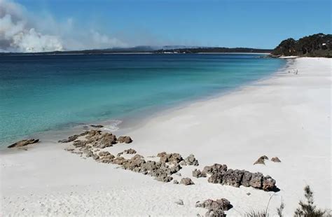 25 Best Beaches in NSW You Have to Visit - Dreaming of Down Under