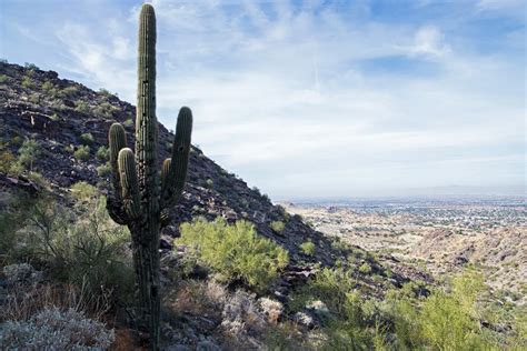 The Best Hiking in Phoenix for All Experience Levels