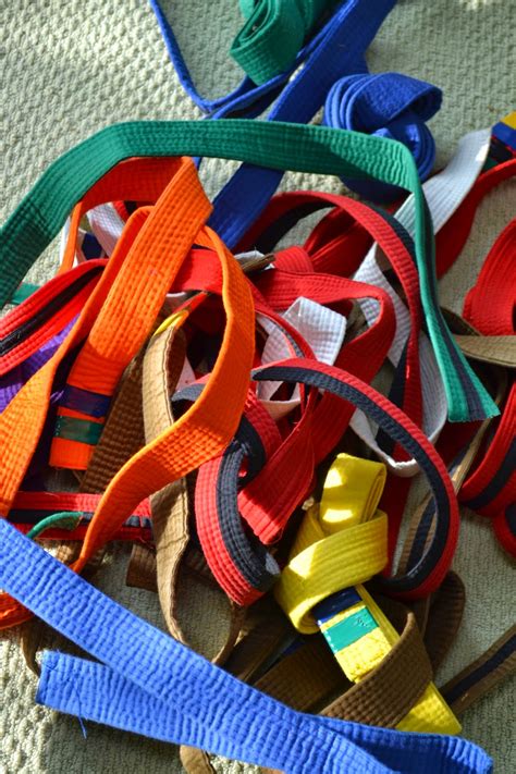 Tea with LaVera: How to Make a Rug out of Tae-Kwon-Do Belts?