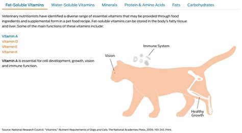 Cat nutrition explained by new Pet Food Institute resource | 2019-01-24 ...