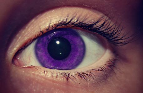 purple eyes | Aesthetic eyes, Purple eyes, Violet eyes