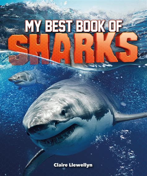 My Best Book of Sharks - Walmart.com - Walmart.com