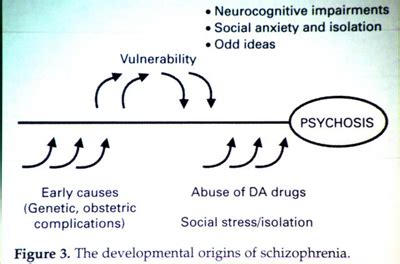 Schizophrenia Cause and Prevention