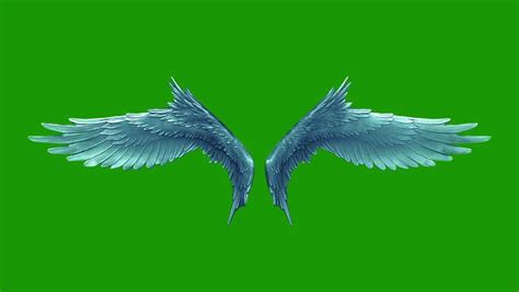 Pair Of Bird / Angel Wings Flapping On A Green Screen For Chroma Key Mate. Stock Footage Video ...