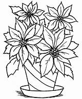 Coloring Cool  Free Pages And Drawing Tutorials sketch template