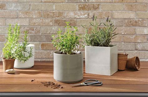 Modern Planters for Happy Houseplants - Room & Board