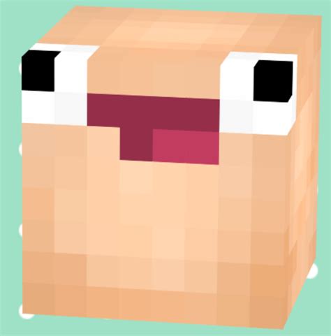 14 Styles of Eyes + Tips Minecraft Blog