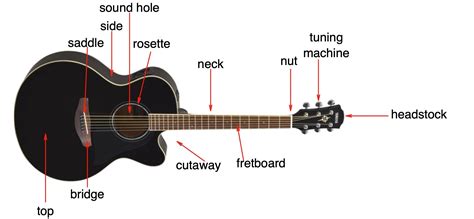 How to Choose Your First Guitar