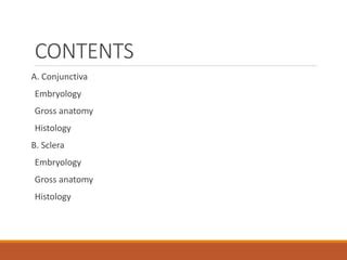 Conjunctiva and sclera | PPT