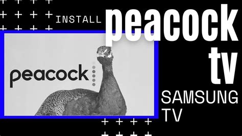 How To Install Peacock TV on Samsung TV - YouTube