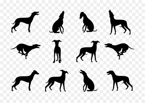 greyhound clip art 10 free Cliparts | Download images on Clipground 2024