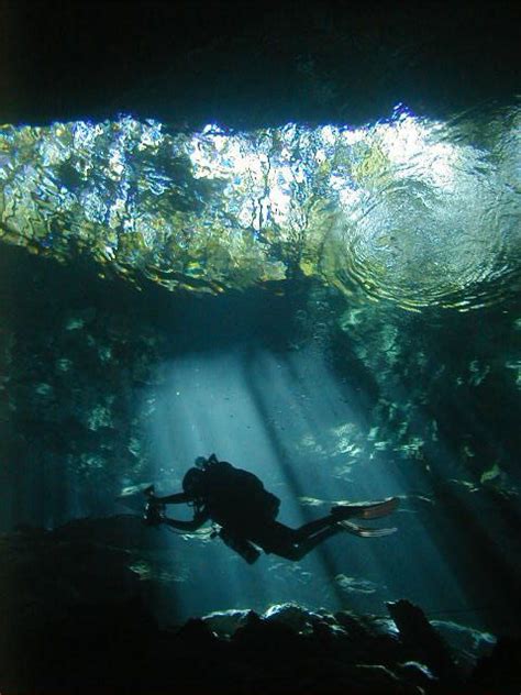 CENOTE Diving Excursion & Tour with Dressel Divers