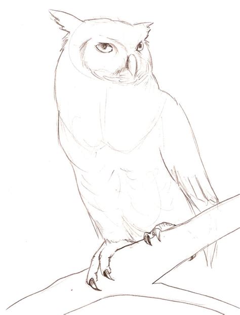 Great Horned Owl Sketch by TheRoyalFrog on DeviantArt