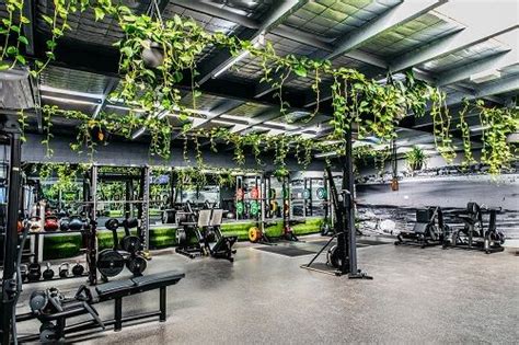 15 Best Plants for Gym! | Gym architecture, Home gym design, Gym design