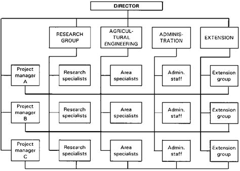 matrix organizational structure | figure 3 matrix organizational structure | Org Chart ...