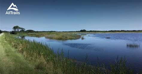 Best hikes and trails in Back Bay National Wildlife Refuge | AllTrails