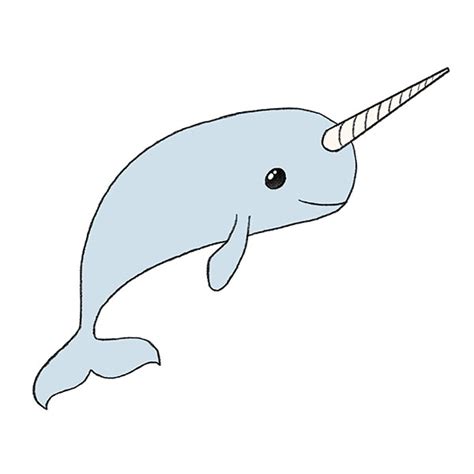 Cute Narwhal Drawing