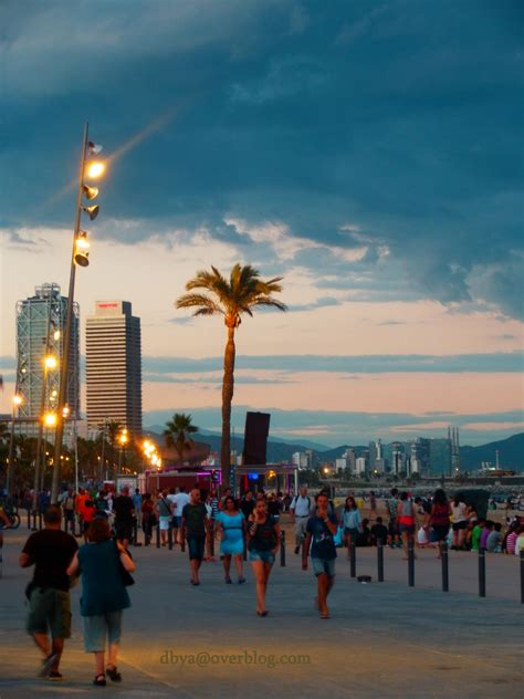 Beach Barcelona by night 2013 Barcelona, Street View, Views, Night ...