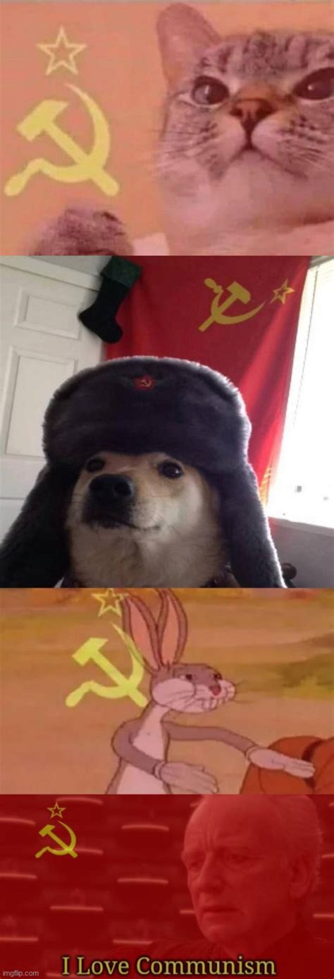 Image tagged in communist cat,russian doge,bugs bunny communist,i love ...