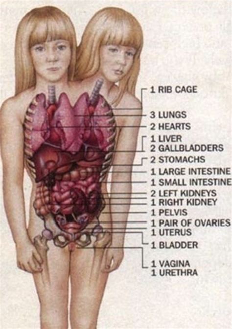 Their Internal Organs Are A Un... is listed (or ranked) 2 on the list ...