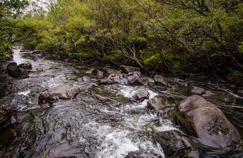 Gloucester River campground and picnic area | NSW National Parks