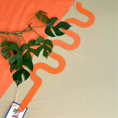 Best indoor plant stakes by Secateur Me Baby | Hello Botanical | Same day gift delivery ...