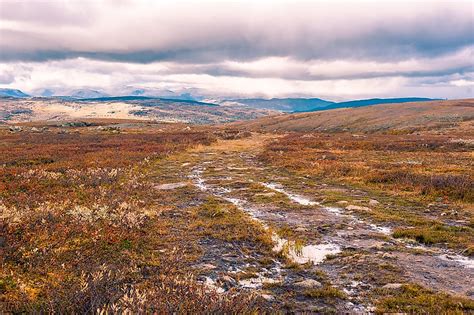 What Is A Moorland? - WorldAtlas