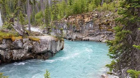 Marble Canyon Campground | Where To Stay | Radium Hot Springs, BC