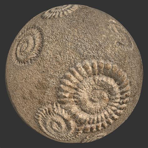 Fossil Rock Texture | Free PBR | TextureCan