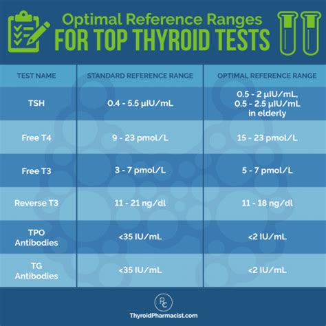 Muscle Wasting and Hashimoto’s - Dr. Izabella Wentz, PharmD